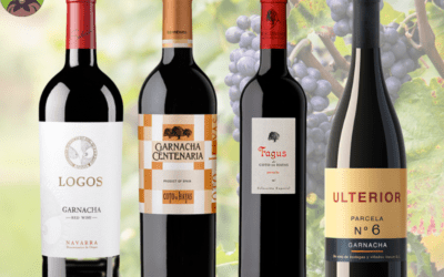 Uva Garnacha