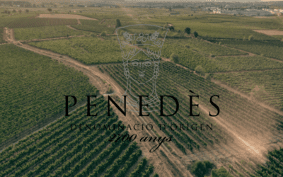 La DO Penedès: Primera Denominación de Origen 100% Ecológica en 2025