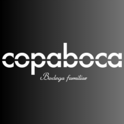 Logotipo oficial de Bodegas Jovellar, marca distribuida en exclusiva por L'abuela Maruchi para hostelería y tiendas especializadas en Cantabria.